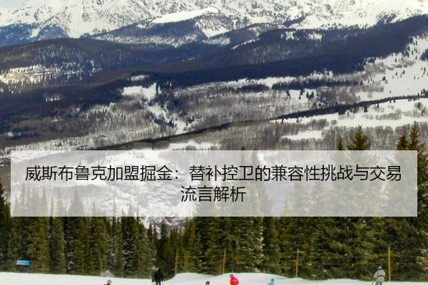wei-si-bu-lu-ke-jia-meng-jue-jin-ti-bu-kong-wei-de-jian-rong-xing-tiao-zhan-yu-jiao-yi-liu-yan-jie-xi-2-589.jpg