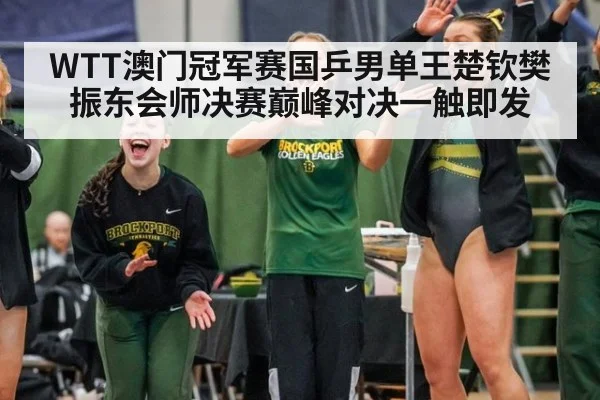 WTT澳门冠军赛国乒男单王楚钦樊振东会师决赛巅峰对决一触即发
