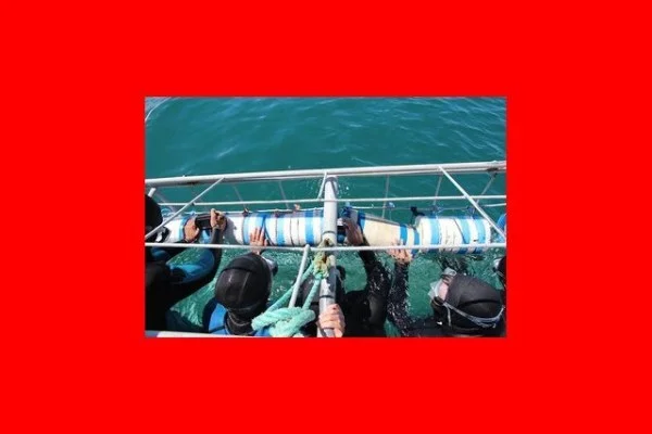拜仁慕尼黑于帕梅卡诺续约谈判进展与防线规划新赛季阵容布局分析